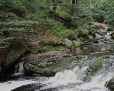Gite Ardennes Au Coin Du Feu Jacuzzi Sauna Et Nature Jalhay Dış mekan fotoğraf